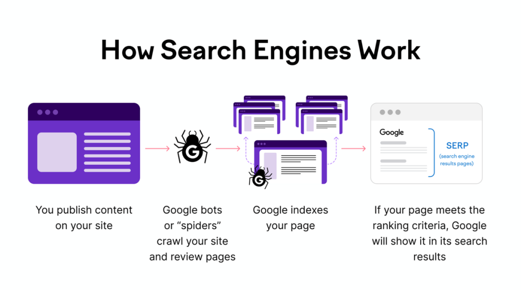 how search engine work